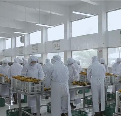 土坑酸菜与标准化腌制 双轨制下的食品差异与安全迷思